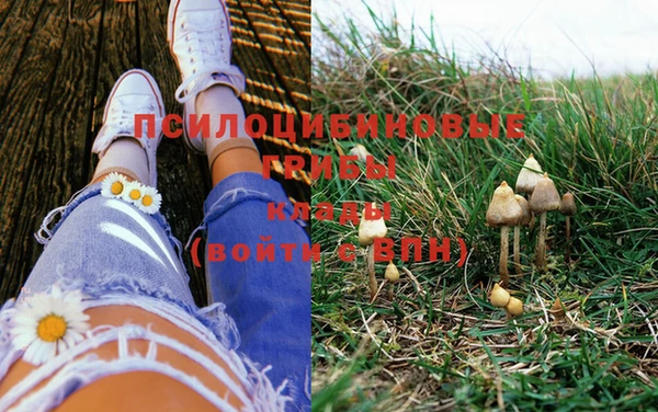 MDMA Premium VHQ Белокуриха