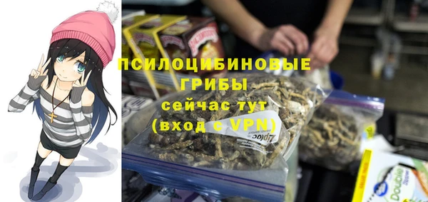 MDMA Premium VHQ Белокуриха