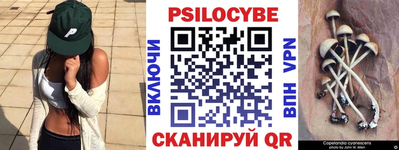 площадка какой сайт  Михайлов  Псилоцибиновые грибы Psilocybine cubensis  купить  цена 